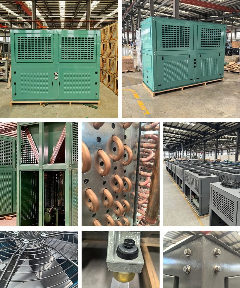 product-800-960 product-800-960