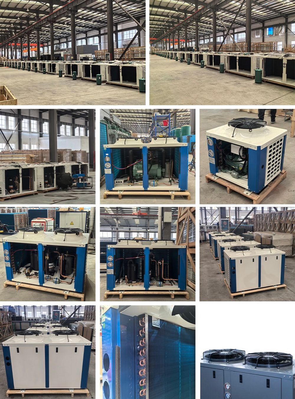 product-1000-1353 product-1000-1353
